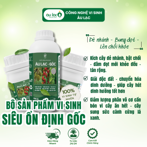 Ảnh-đại-diện-gốc
