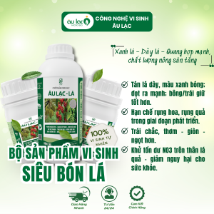 Ảnh-đại-diện-lá