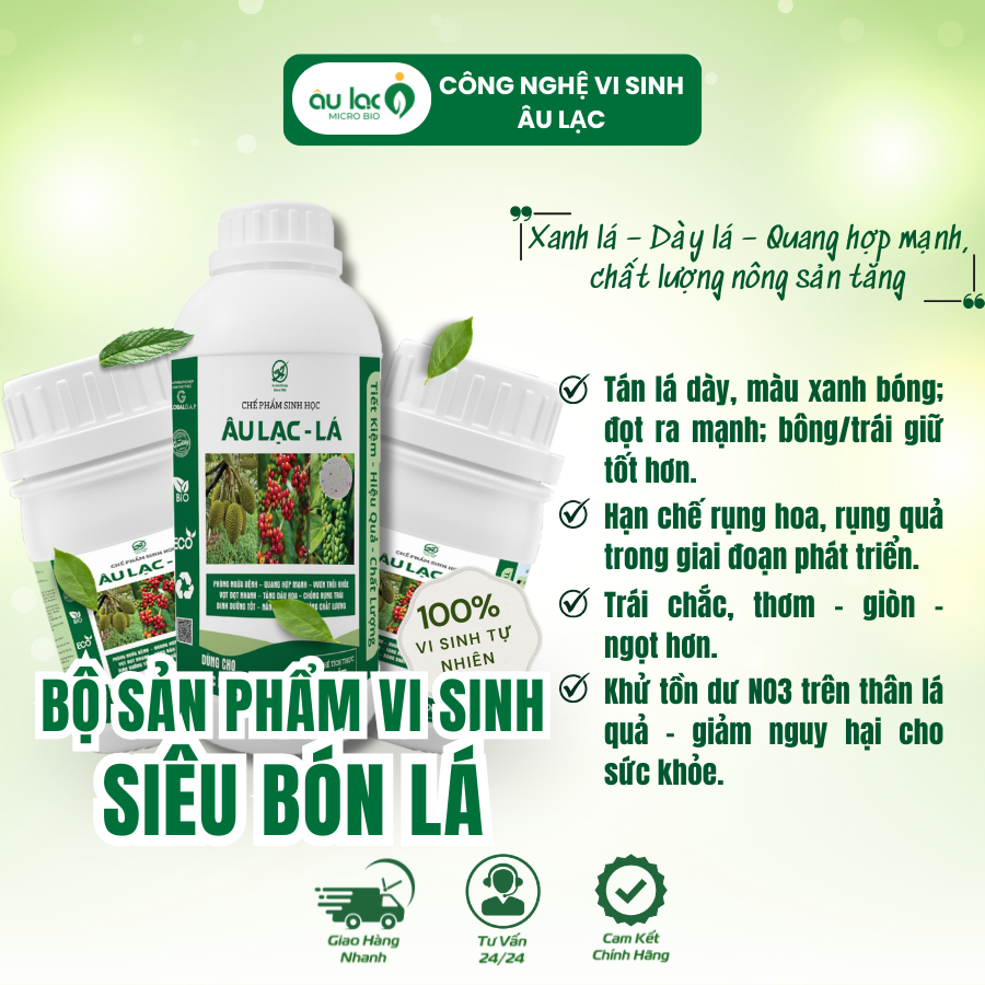 Ảnh-đại-diện-lá