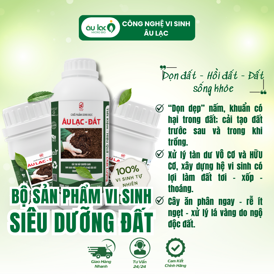 Ảnh-đại-diện-đất