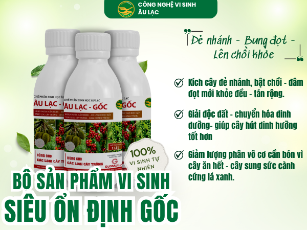 Vi sinh Siêu Ổn Định Gốc Âu Lạc-1 lít – Bí quyết giúp cây đâm chồi, nảy lộc, phát triển khỏe mạnh