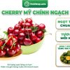 Cherry Mỹ Size 9.5 - Foodmap Fruits