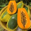 Đu Đủ Ruột Vàng - Foodmap Fruits