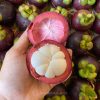 Măng Cụt Bến Tre - Foodmap Fruits