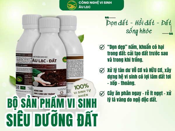Vi sinh Siêu Dưỡng Đất Âu Lạc