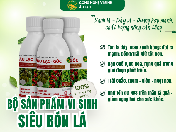 Vi sinh Siêu Bón Lá Âu Lạc - 1 lít – Làm lá xanh dày, quang hợp mạnh, trái chắc ngọt tự nhiên