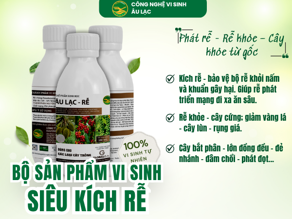Vi sinh Siêu Kích Rễ Âu Lạc -1 lít– Kích rễ tơ trắng, cây khỏe từ gốc, bền sức cả vụ